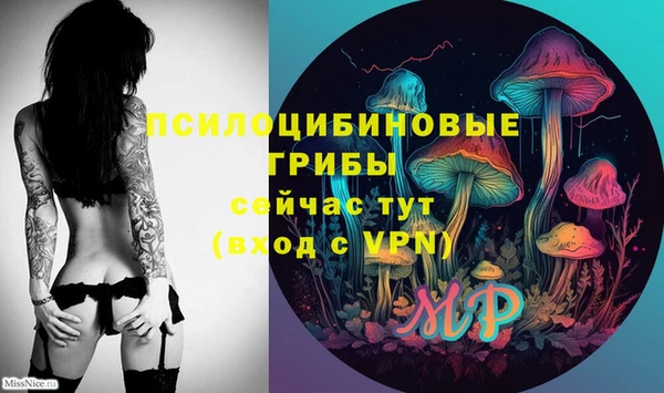 PSILOCYBIN Богородск
