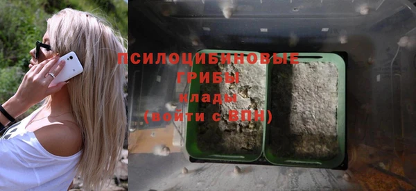 PSILOCYBIN Богородск