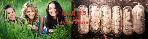 PSILOCYBIN Богородск